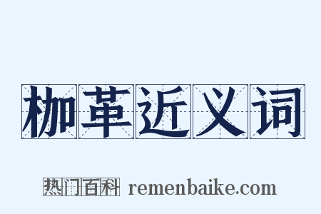 枷革近义词是什么意思的图片